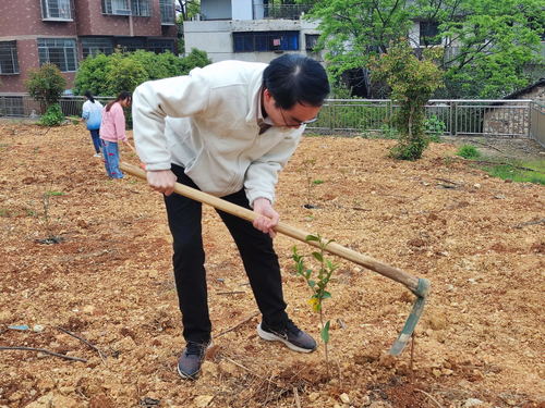 覃佐东 覃佐东