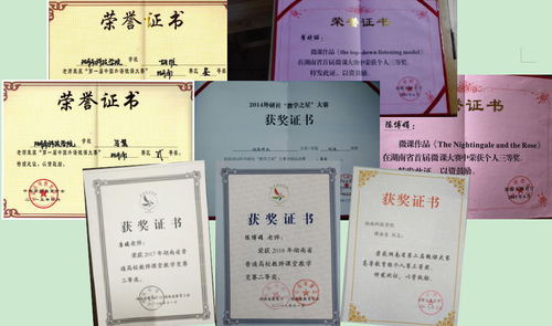 学院老师在各种竞赛中获奖