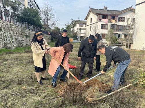 20240320柳子街社区植树 (2)