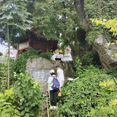 QQ图片20210527154532 QQ图片20210527154532