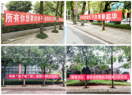 DSC_0775_副本_副本