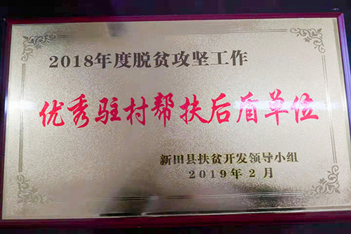 IMG_3334(1) IMG_3334(1)