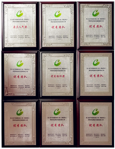 2017科技厅优秀组织奖 2017科技厅优秀组织奖